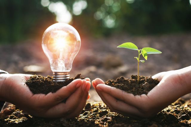 hand holding lightbulb with small tree. concept energy power in nature
